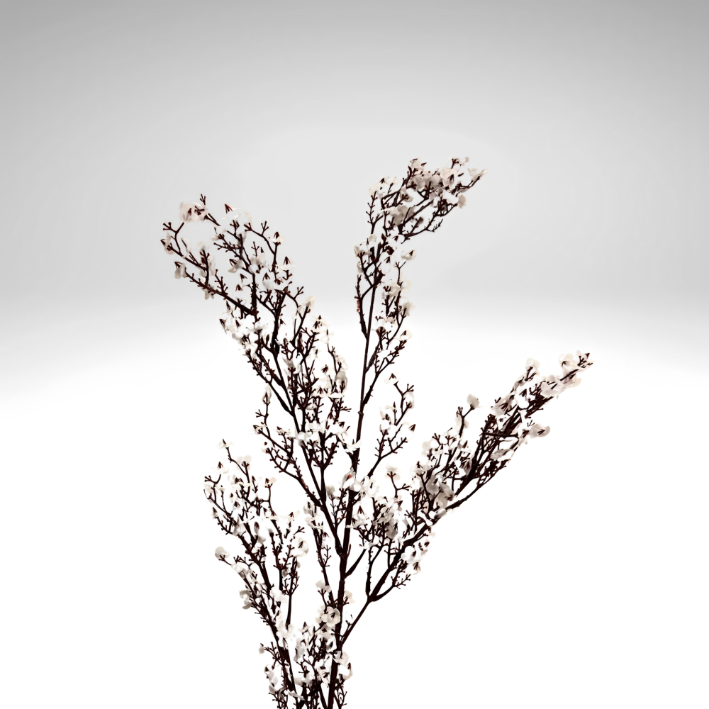 لوحة الأذكار