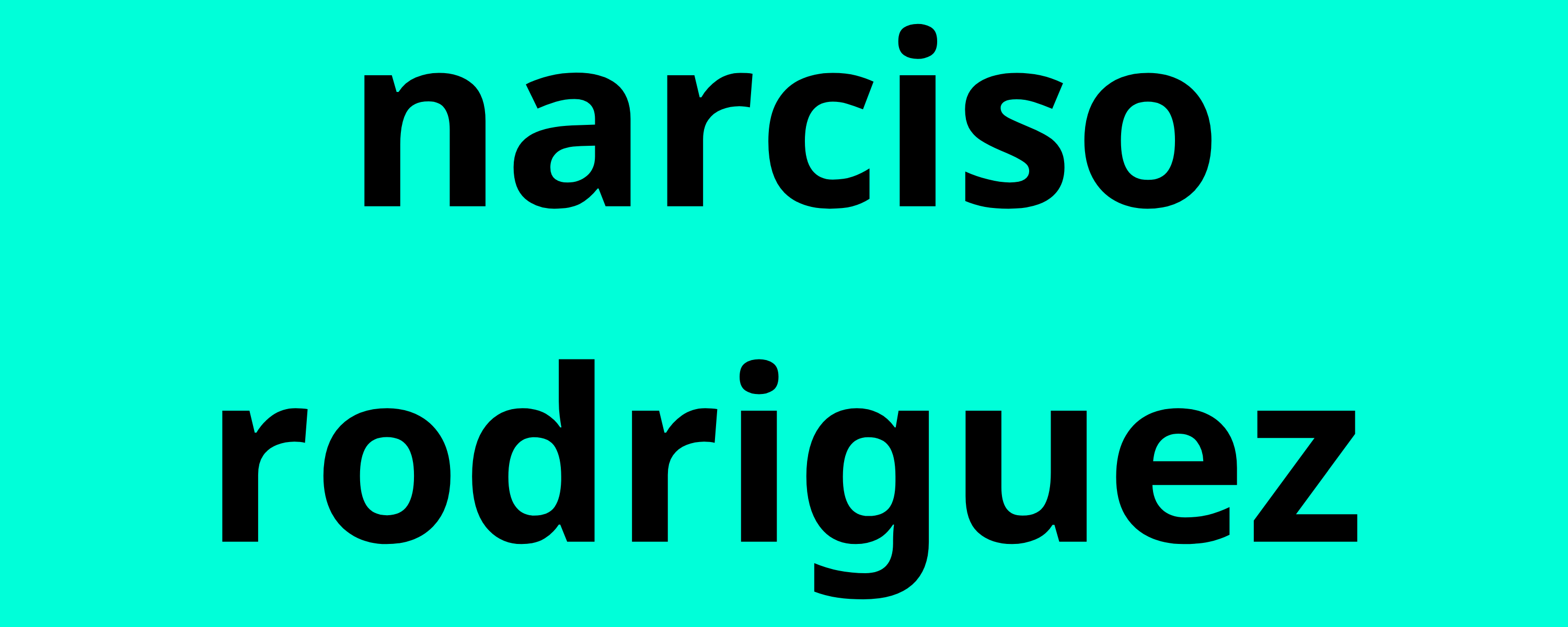 نارسيسو رودريغز