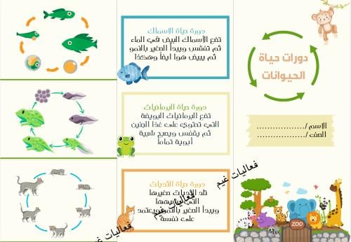 مطوية دورات حياة الحيوانات