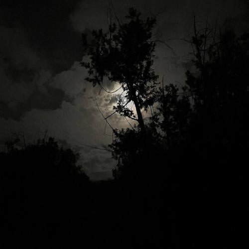 مخيم مسرى