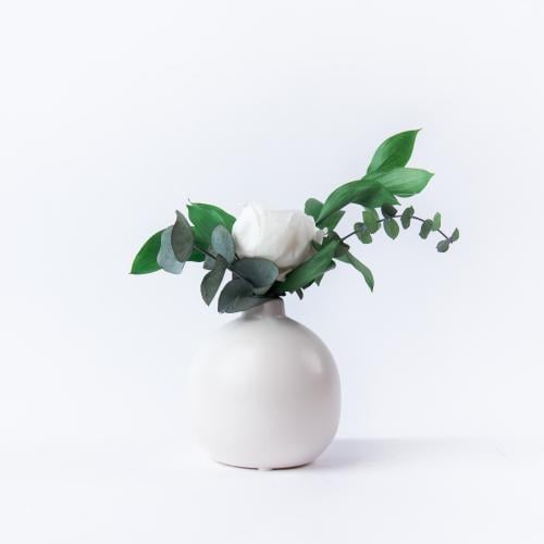 Mini White