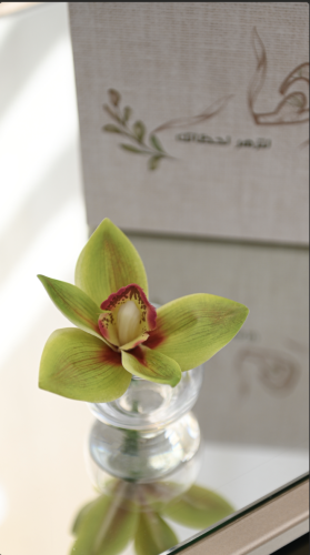 فازة سمبيدوم اخضر ميني