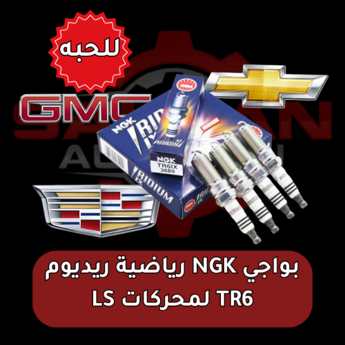 بواجي NGK رياضية ريديوم TR6 محركات امريكي