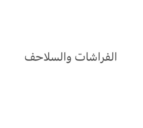 الفراشات والسلاحف