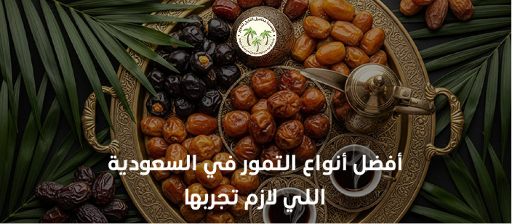 استكشف أفضل أنواع التمور في السعودية مثل الخلاص السكري الصقعي والمجدول