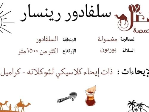 رينسار - السلفادور ٢٥٠ج