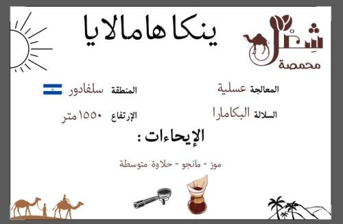 ينكا همالايا - سلفادور ٢٥٠ج