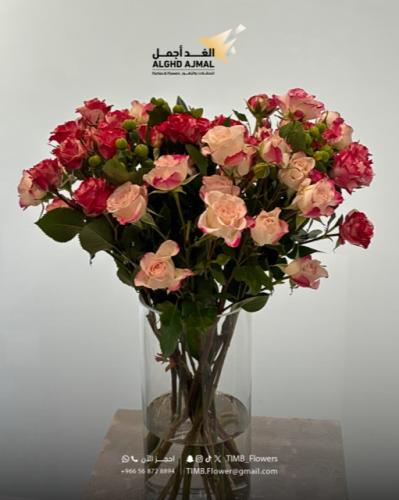 فازه بيبي بنك