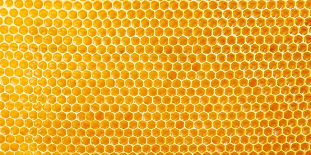 شمع النحل خام