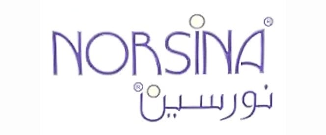 Norsina