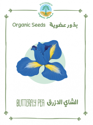 بذور الشاي الازرق عضوي