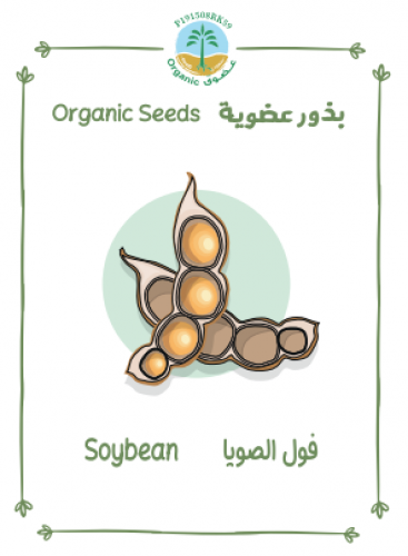 بذور فول الصويا عضوي