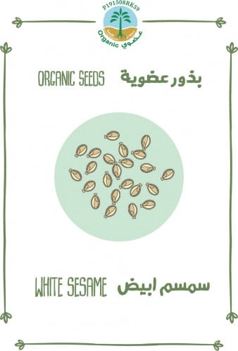 بذور سمسم ابيض (عضوي)