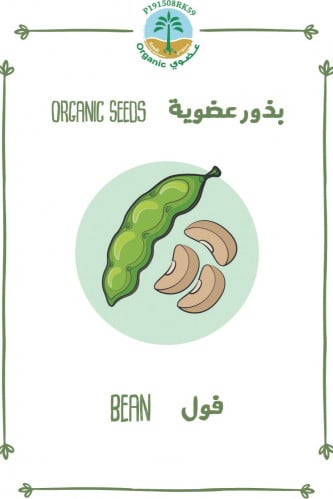 بذور الفول (عضوي)