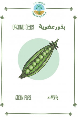 بذور لوبيا (عضوي)