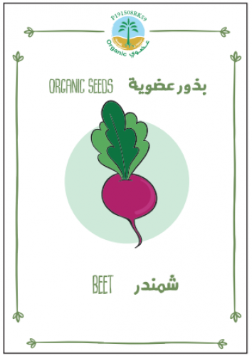 بذور شمندر (عضوي)