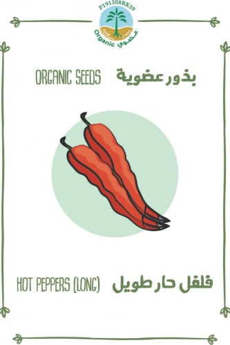بذور فلفل حار طويل (عضوي)
