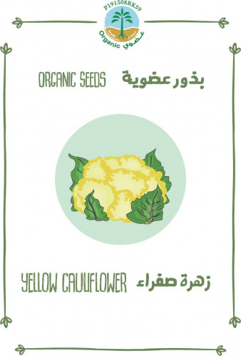 بذور زهرة صفراء(عضوي)
