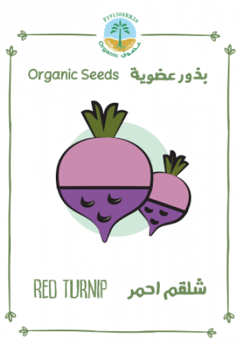 بذور لفت / شلقم احمر عضوي