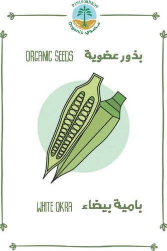 بذور  بامية بلدي بيضاء (عضوي)