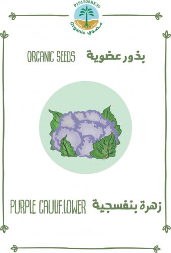 بذور زهرة بنفسجية (عضوي)