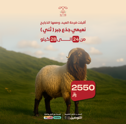 نعيمي جزع جبر (ثني)