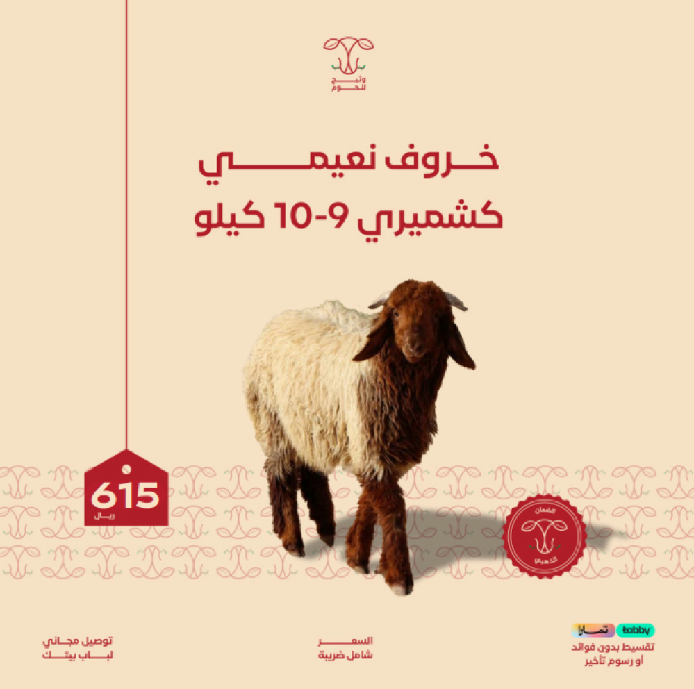خروف نعيمي كشميري 9-10 كيلو