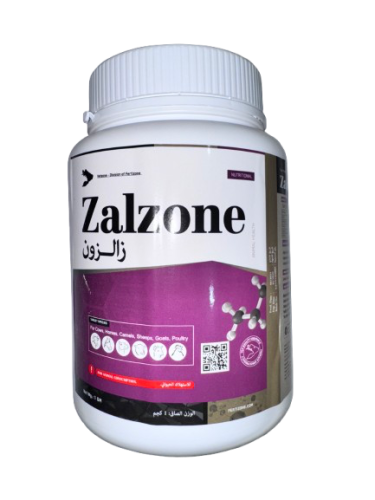 زالزون