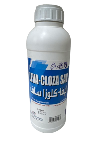 ليفا - كلوزا سافا