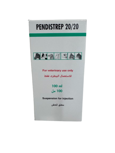 بنديستراب 20 /20