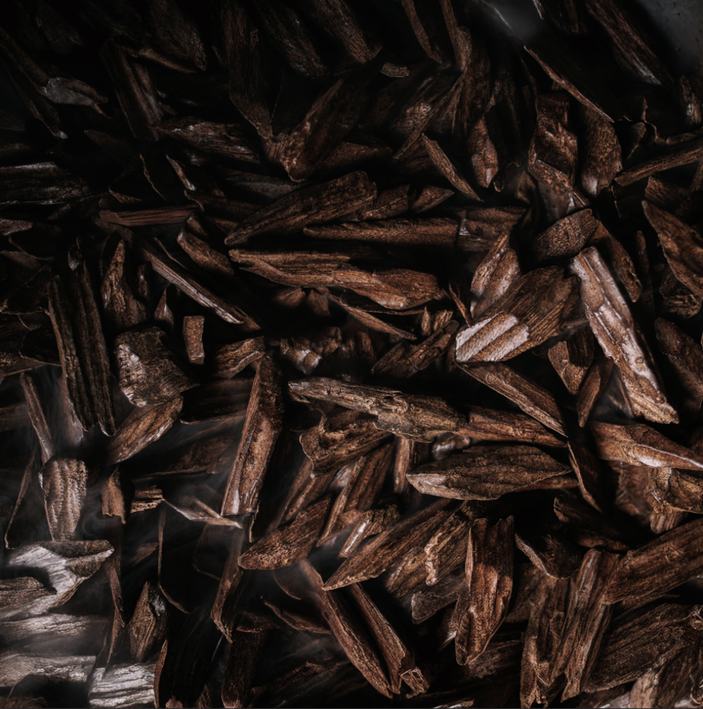 عود الأصِيل