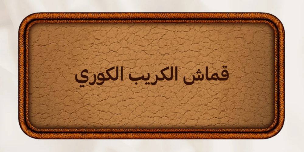 أحدث تصميمات العبايات بقماش الكريب الكوري