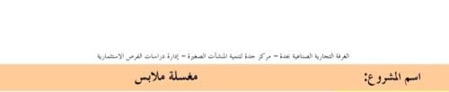 مشروع مغسلة ملابس