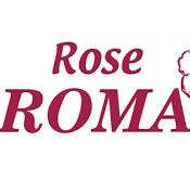 روز روما - Rose ROMA