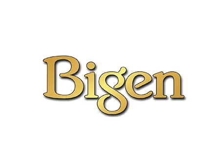 بيجن - Bigen