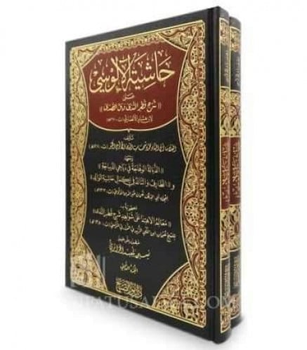 حاشية الالوسي على شرح قطر الندى وبل الصدى 2/1