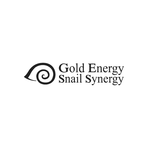 Gold Energy Snail Synergy