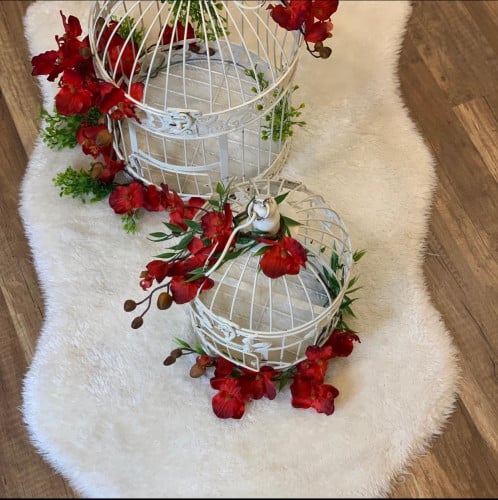 عدد 2 قفص ابيض بمقاسين مزين بزهور  حمراء