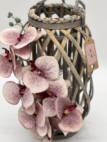 فانوس صفصاف مقاس وسط