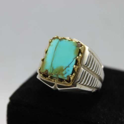 فيروز نيشابوري حسيني.