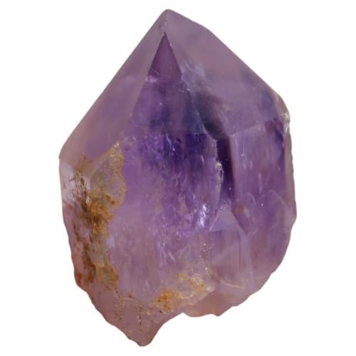 صولجان الجمشت - Amethyst scepter