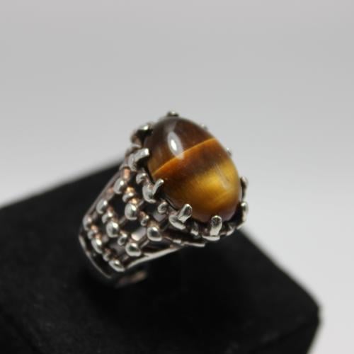 حجر عين النمر