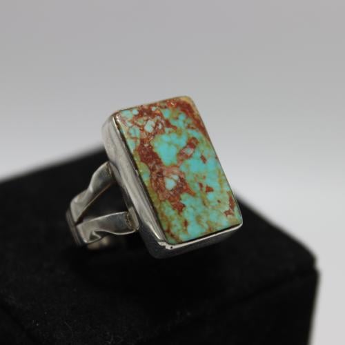 فيروز نيشابوري حسيني.