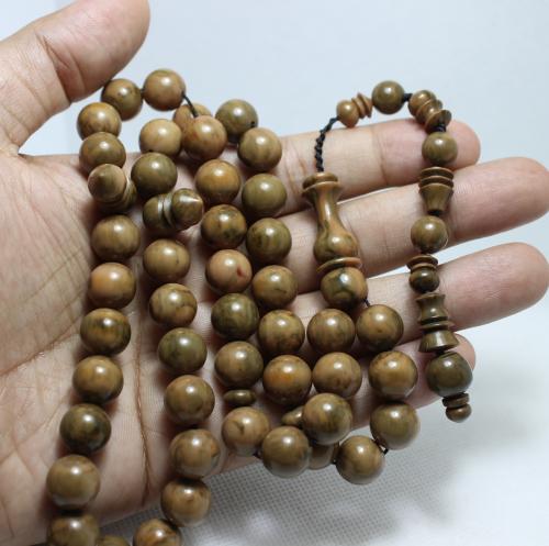 مسباح فتروان