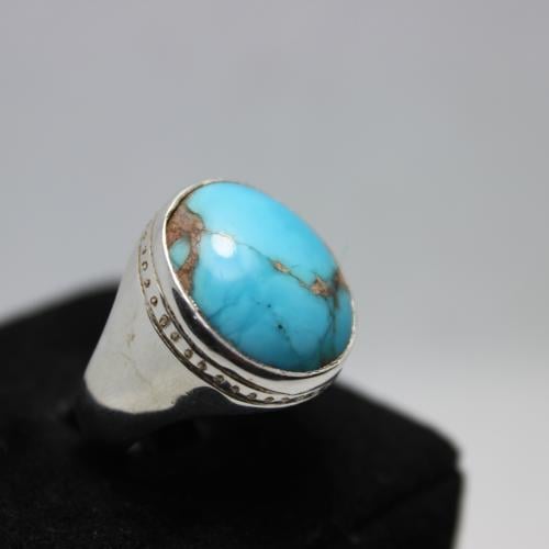 فيروز نيشابوري