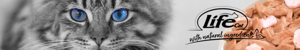 Life Cat