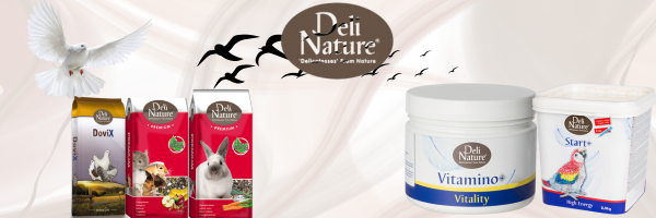 DELI NATURE