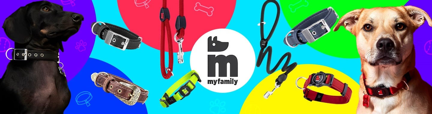 my family