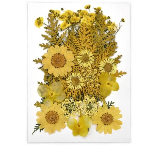 كرت ورد مجفف طبيعي مضغوط539951