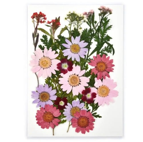 كرت ورد مجفف اصفر